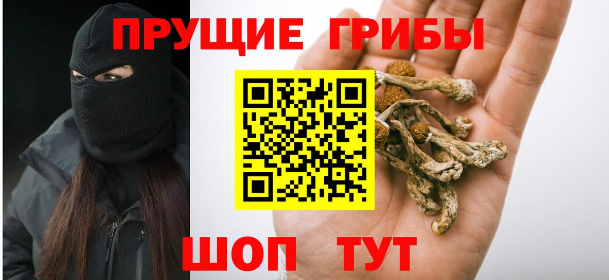 Галлюциногенные грибы Psilocybe  Вход с VPN  Когалым 